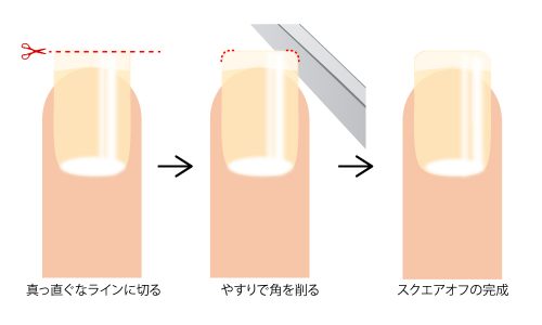 簡単実践 正しい爪の切り方 Beauty Column 美容コラム Meiko
