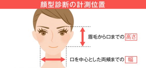 自分の顔の形がわかる 顔型診断で5タイプの顔型からぴったり判定 Beauty Column 美容コラム Meiko