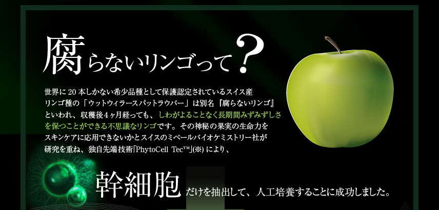 幹細胞だけを抽出して、人口培養することに成功しました。