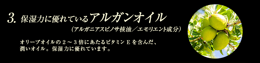 保湿力に優れているアルガンオイル（アルガニアスピノサ核油／保湿成分）：オリーブオイルの2～3倍にあたるビタミンEを含んだ、潤いオイル。保湿力に優れています。