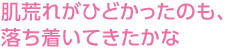 肌荒れがひどかったのも、落ち着いてきたかな